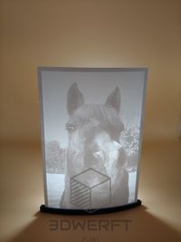 Lithophane Pferd2